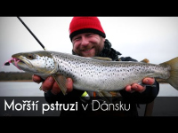 VIDEO: Sea trout fishing in Denmark. English subtitle!