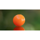Fluo orange, 5 pcs
