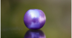 Purple, 5 ks