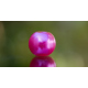 Pink, 5 ks