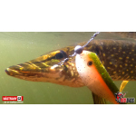 Balancing weight REDBASS