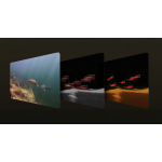 Deeper Fishfinder Chirp+ 4