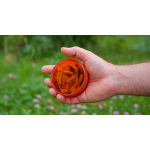Lure box Shallow Fly Puck FISHPOND