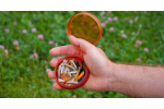 Lure box Shallow Fly Puck FISHPOND