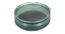 Magnetic fly storage Shallow MagPad Fly Puck FISHPOND