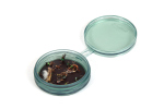 Magnetic fly storage Shallow MagPad Fly Puck FISHPOND