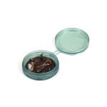 Magnetic fly storage Shallow MagPad Fly Puck FISHPOND