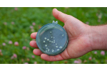 Magnetic fly storage Shallow MagPad Fly Puck FISHPOND