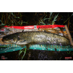 Wobbler 3STAN S90 floating 2025