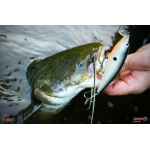 Wobbler 3STAN S90 floating 2025