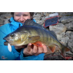 Minnow ALS