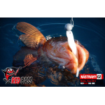 Minnow BIG ONE 5