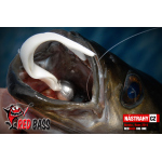 Minnow BIG ONE 5