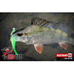 Minnow BIG ONE 5