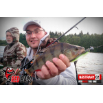 Minnow BIG ONE 5