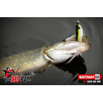 Minnow BIG ONE 5