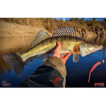 Minnow BIG SNAKE XL