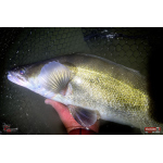 Minnow BIG SNAKE XL