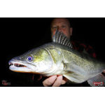 Minnow BIG SNAKE XL