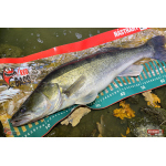 Minnow BIG SNAKE XL