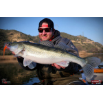 Minnow BIG SNAKE XL