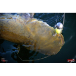 Minnow BIG SNAKE XL