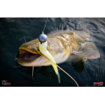 Minnow BIG SNAKE XL