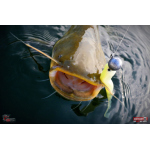 Minnow BIG SNAKE XL
