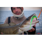 Minnow BIG SNAKE XL