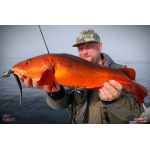 Minnow BIG SNAKE XL