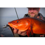 Minnow BIG SNAKE XL