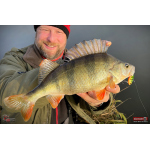 Metal Vib Daiwa Prorex 3,8 cm, 7 g