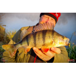 Metal Vib Daiwa Prorex 3,8 cm, 7 g