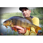 Metal Vib Daiwa Prorex 3,8 cm, 7 g