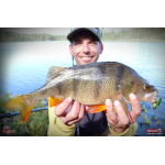 Metal Vib Daiwa Prorex 3,8 cm, 7 g