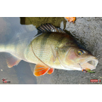 Metal Vib Daiwa Prorex 3,8 cm, 7 g