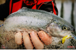 Jigstreamer Marabou REDBASS 2 g