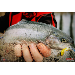Jigstreamer Marabou REDBASS 1 g