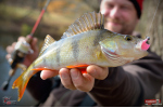 Jigstreamer Marabou REDBASS 2 g