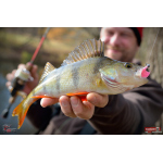 Jigstreamer Marabou REDBASS 1 g