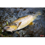 Jigstreamer Marabou REDBASS 1 g