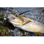 Jigstreamer Marabou REDBASS 1 g