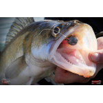 Ripper REDBASS KICKER L - 100 mm