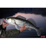 Ripper REDBASS KICKER L - 100 mm