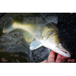 Ripper REDBASS KICKER L - 100 mm