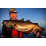 Ripper REDBASS KICKER L - 100 mm