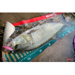 Ripper REDBASS KICKER S - 70 mm