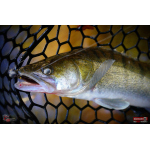 Ripper REDBASS KICKER S - 70 mm