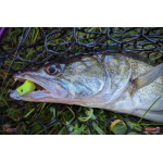 Ripper REDBASS KICKER S - 70 mm