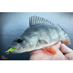 Ripper REDBASS KICKER S - 70 mm